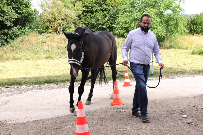 Klient führt ein Pferd durch einen Parcours